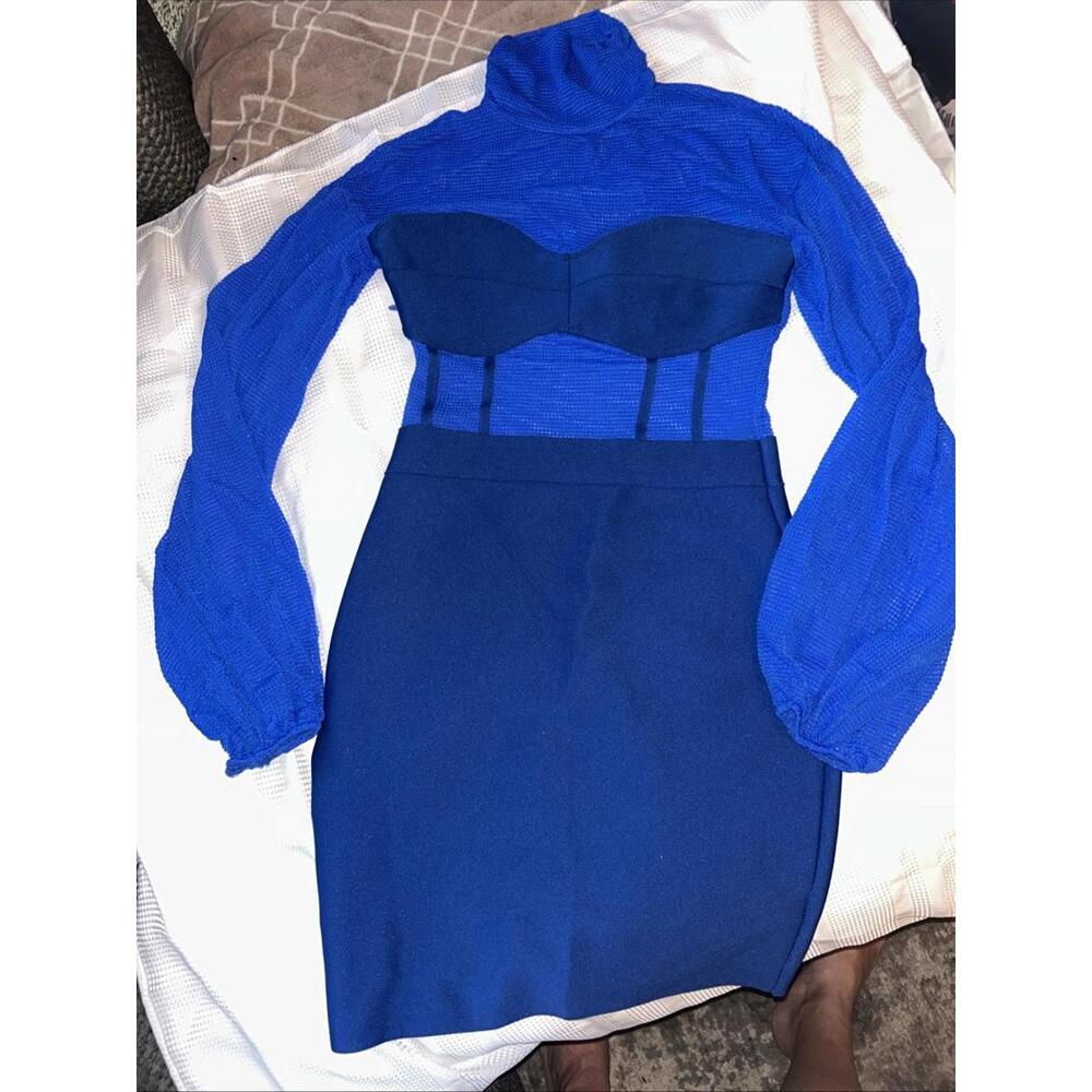 Sheer Mesh Long Sleeve  TurtleNeck Bodycon Mini Club Dress